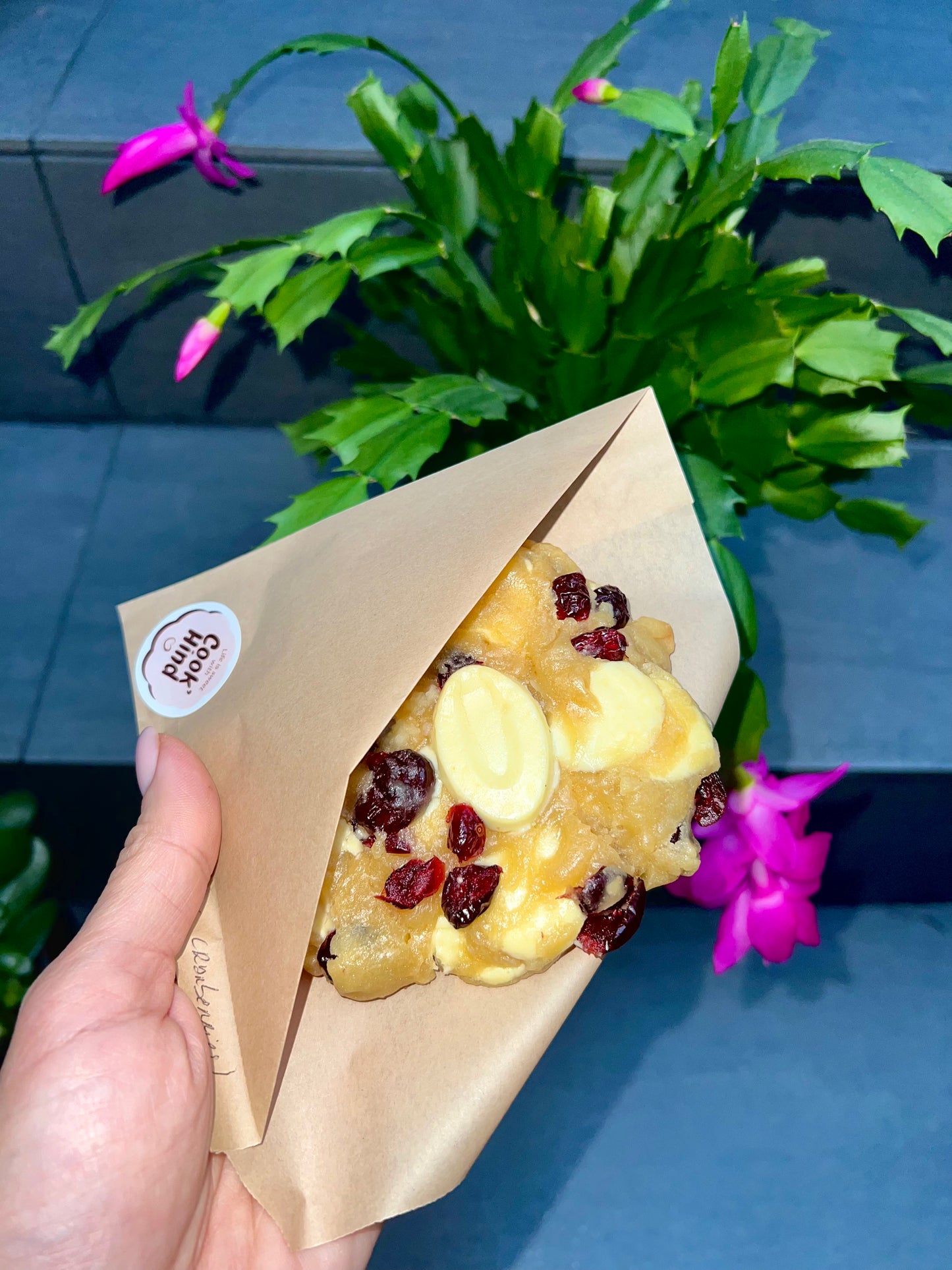 GIGI (chocolat blanc - cranberries)